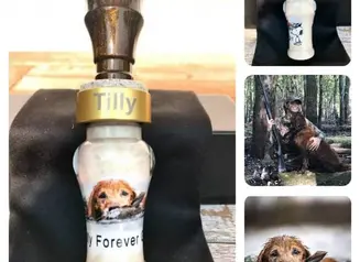 Custom call made to honor Tilly the Dog