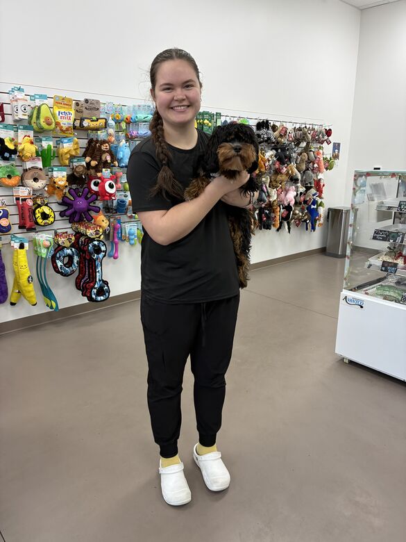 Anna Friedrichsen, registered apprentice at work