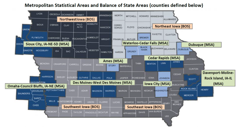 Breakdown of Balance of the State (BOS) areas and Metropolitan Statistical Areas (MSA) across Iowa