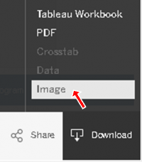 Image illustrating where the download Image function is located.
